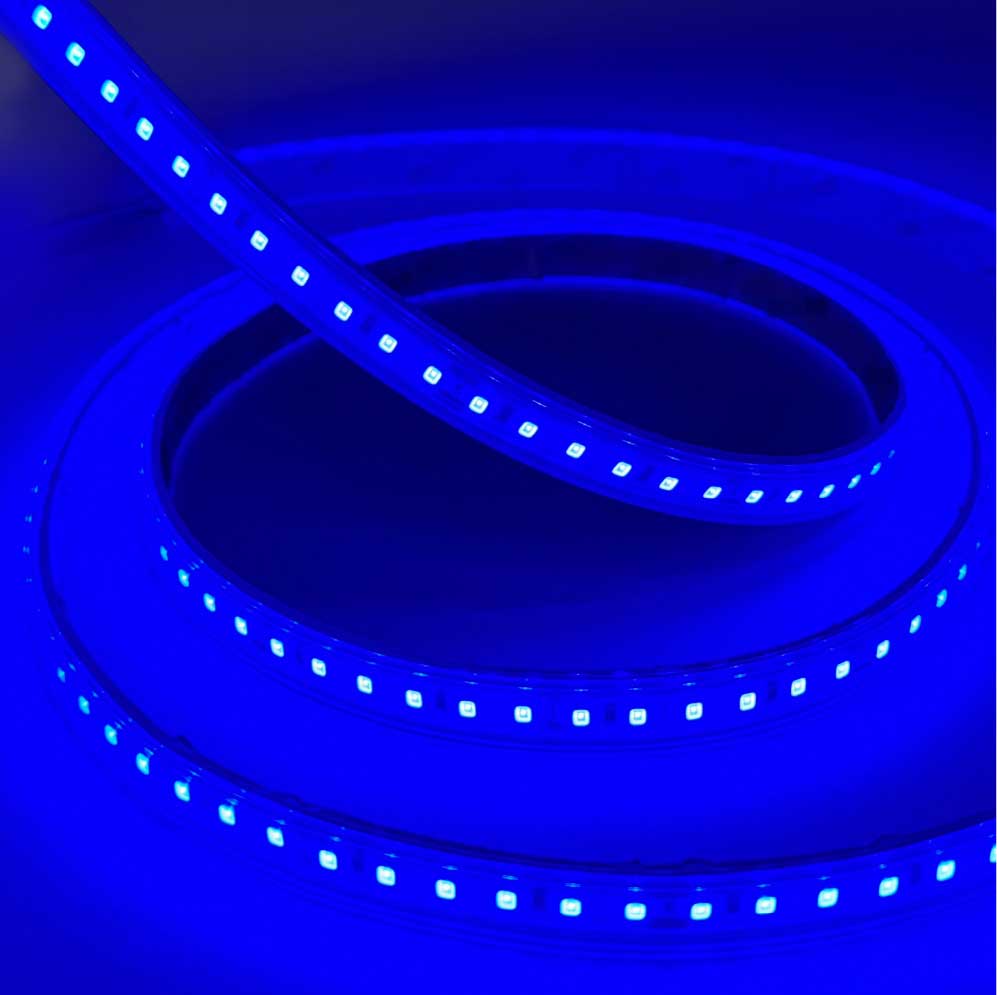 BLUELIGHT product image